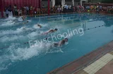 Shah International School Shah International School Gallery