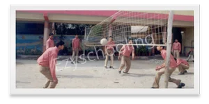 Cosmos School Gallery