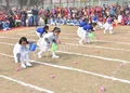 Mata Sushila Malhotra DAV Primary School Gallery