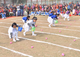 Mata Sushila Malhotra DAV Primary School Gallery