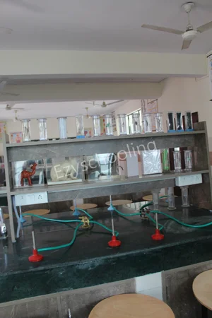 Khadijatul Kubra Girls Public School Gallery