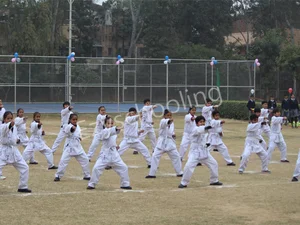 Banyan Tree School Gallery