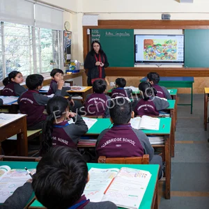 Cambridge Primary School Gallery