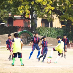 Cambridge Primary School Gallery