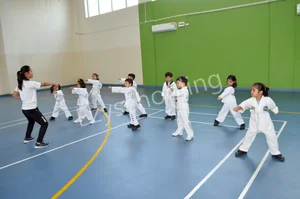 Satya School Gallery