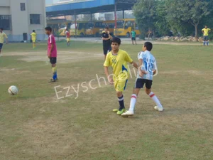 Royal Oak International School Gallery