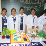 Vidya Niketan Senior Secondary School Gallery