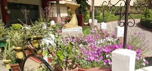 Greenfields Public School Gallery