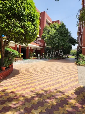 Salwan Public School Gallery