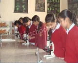 RRJS DAV Public School Gallery
