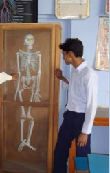 RRJS DAV Public School Gallery