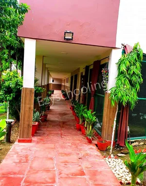 S D Modern Secondary School Gallery