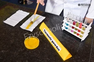 Presidium School Gallery