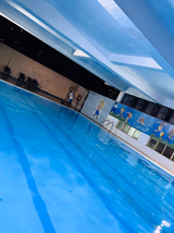 Modern School Gallery