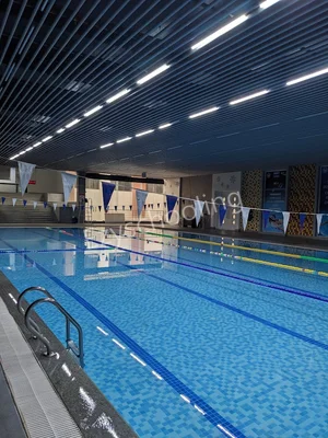 Sapphire International School Gallery