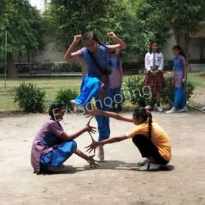 Shyam Singh Smarak  Inter Kanya College Gallery