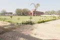 Trinity World School Gallery