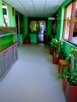 D.G.R Public School Gallery