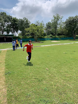 Springville Public School Gallery