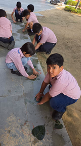 Silver Bells School Gallery