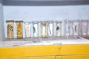 Holy Angels' Senior Secondary School Gallery