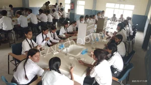 M.L. Public School Gallery