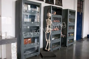 St. Francis School Gallery