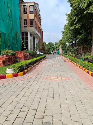 St. Thomas School Gallery