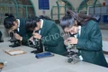 Delhi Public School Gallery