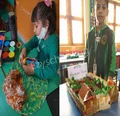 New Rainbow Public School Gallery