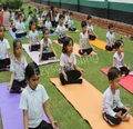 New Rainbow Public School Gallery