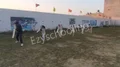 Mahima Public Junior High School Gallery