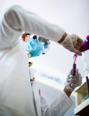 JKG International School Gallery