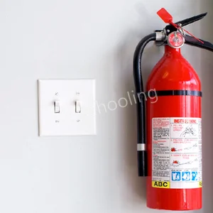 Scholars International School Gallery