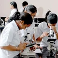 Scholars International School Gallery