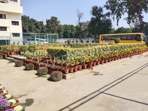 K.D.B. Public School Gallery