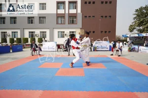 Aster Public School Gallery