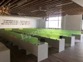 Sparsh Global School Gallery