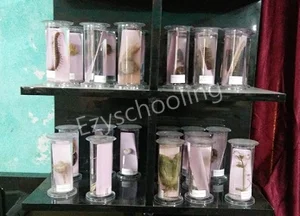 Radisson The School Gallery