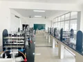 Florence International School Gallery