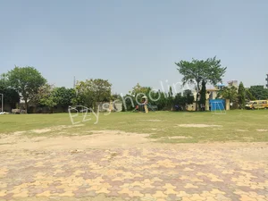 Bloom International School Gallery