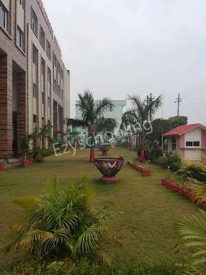 Bloom International School Gallery