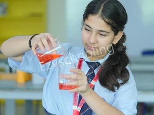 The Wisdom Tree School Gallery