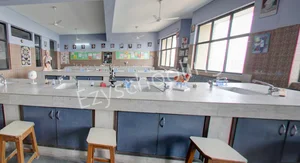 Ryan International School Gallery