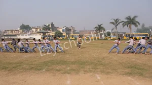 Blue Diamond Public School Gallery