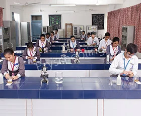 Somerville School Gallery