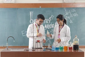 Somerville School Gallery