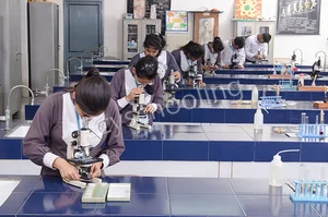 Somerville School Gallery