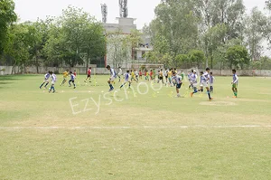 Somerville School Gallery