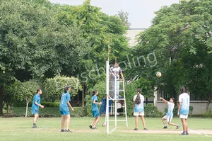 Somerville School Gallery